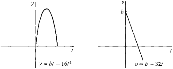 02_differentiation-39.gif