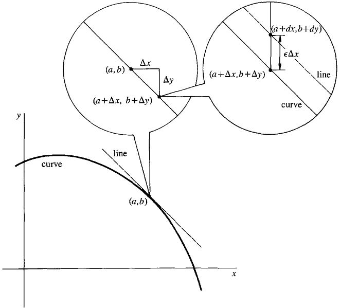 02_differentiation-54.gif