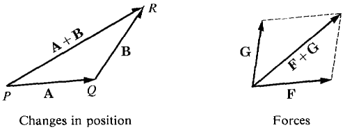 10_vectors-30.gif